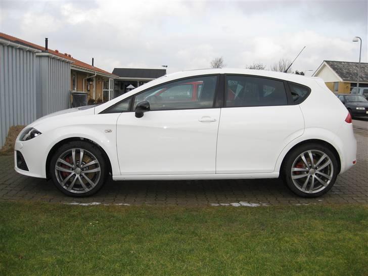 Seat Leon Cupra billede 2