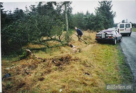 Opel Manta 1.8 GT - R.I.P :( - Ja, det er jo så den nye måde at fælde træer på, med en Manta :( billede 8