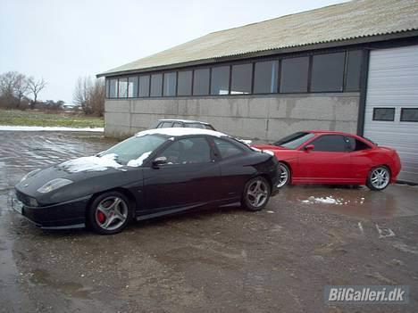Fiat Coupe Turbo - SOLGT... - Her holder EL Diablo med en Coupe 5 cyl, 20V Turbo Limited Edition...!!! Den sorte er hurtigst på toppen, hvor Diablo er hurtigst i optræk...!!! Topfarten på den sorte er 280 km/t hvor den på Diablo har ramt ca. 270 km/t... :)  billede 10