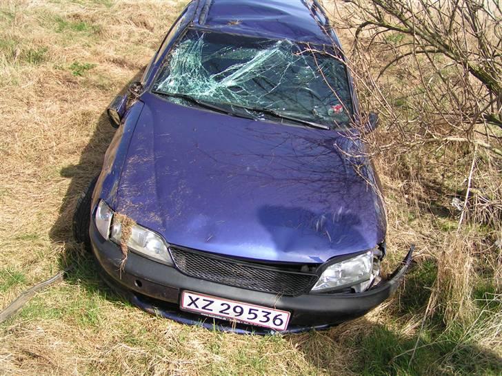 Opel Vectra B St Car † R.I.P † - SE!!! Sådan endte bilen sine dage på en mark efter nogle ture rundt...!! Dato: 22/02-2008   billede 17