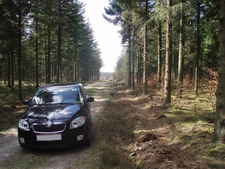 Skoda Fabia II 1,9TDI SOLGT! billede 7