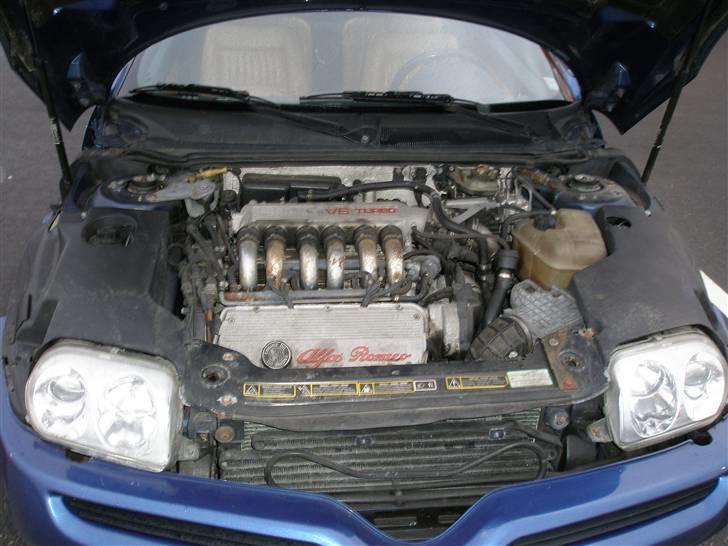 Alfa Romeo GTV V6 TB (Solgt) billede 7