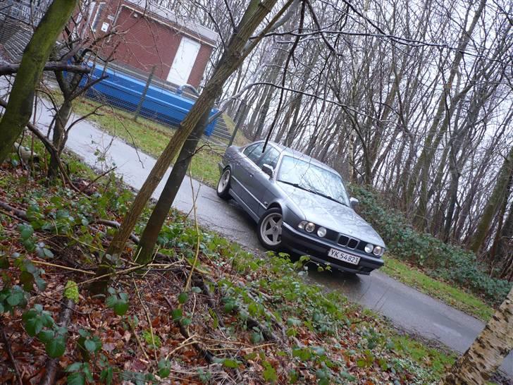 BMW E34 524 TD (SOLGT) billede 3