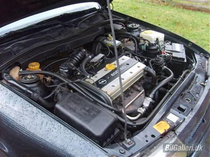 Opel Vectra A *solgt* billede 12