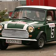 Austin-Morris Mascot