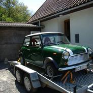 Austin-Morris Mascot