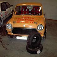 Austin-Morris Mascot