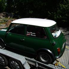 Austin-Morris Mascot