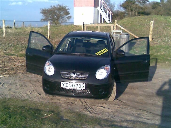 Kia Picanto "Black Box" billede 1