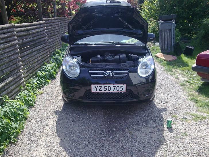 Kia Picanto "Black Box" billede 8