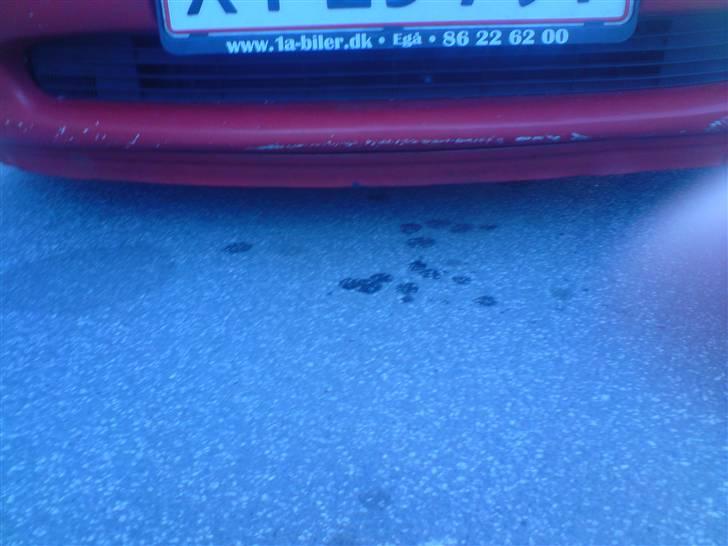 Opel vectra b (solgt) billede 9