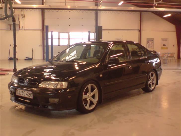 Nissan Primera GT (solgt) - fælgene er dem der sidder på den idag billede 10