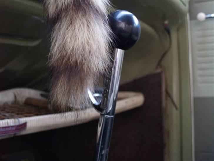 VW 1200 Deluxe billede 9