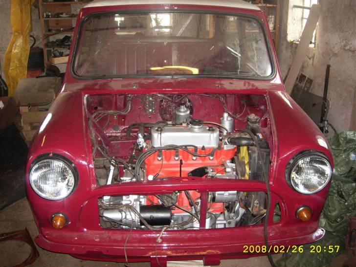 Mini maskot  - Moter er lige kommet i billede 16