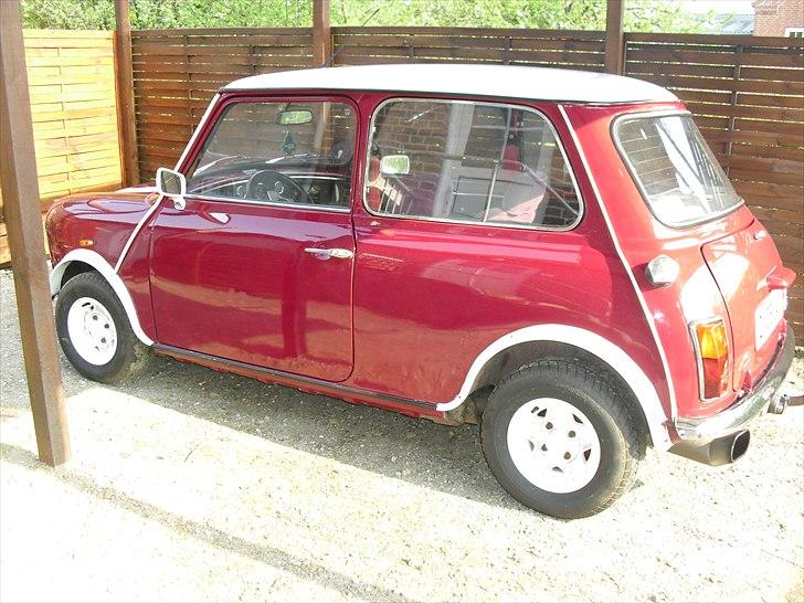 Mini maskot  billede 17