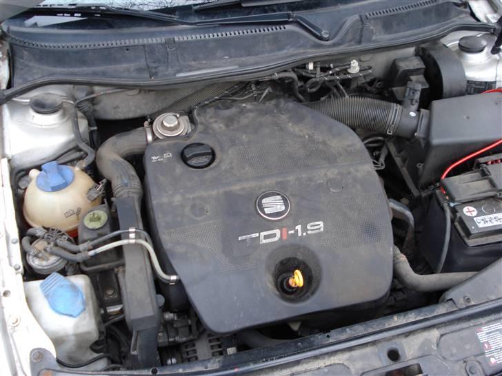 Seat Leon billede 10