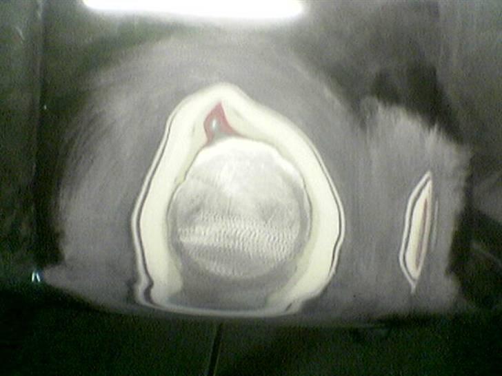 BMW 325 E30 touring billede 13