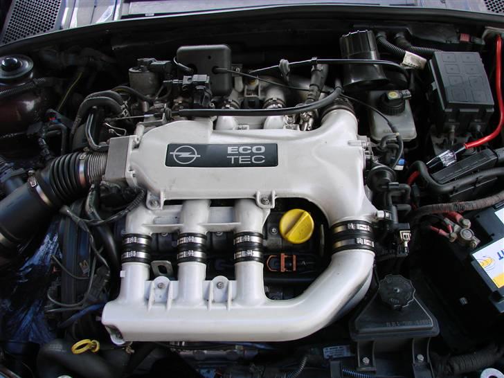 Opel Vectra B V6 Sport - Motoren billede 5