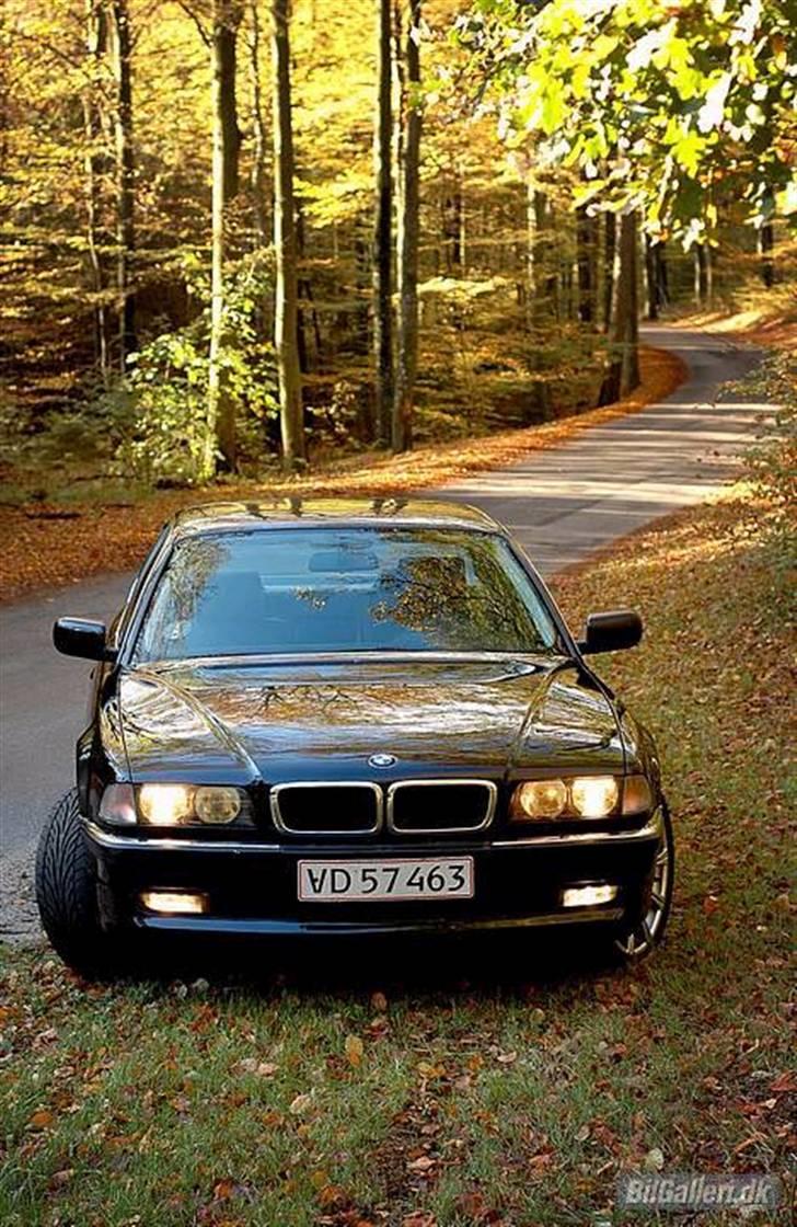 BMW 740I V8 kompressor billede 2