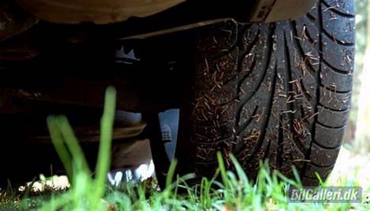 BMW 740I V8 kompressor billede 5