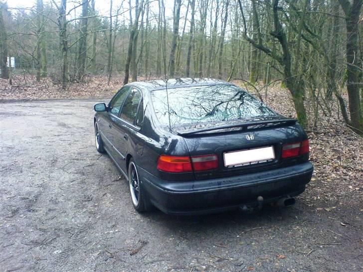 Honda Accord  (solgt) billede 13