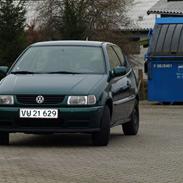 VW polo 6n(SOLGT)