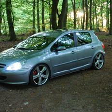 Peugeot Peugeot 307 se