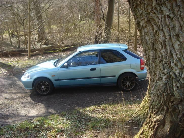 Honda Civic  billede 3