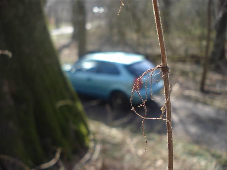 Honda Civic  billede 4