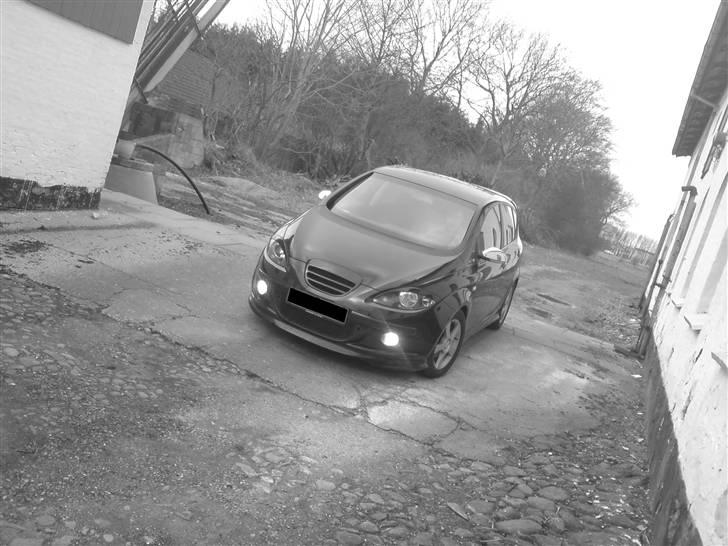 Seat Altea billede 19