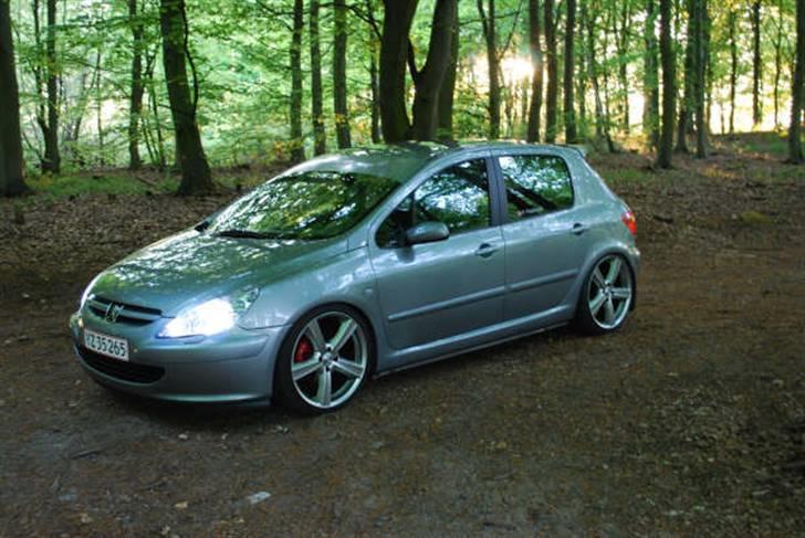 Peugeot Peugeot 307 se billede 1