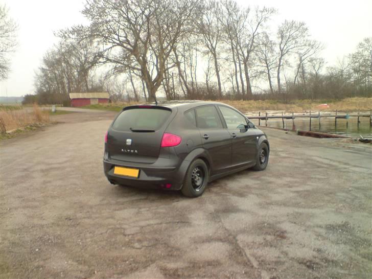 Seat Altea billede 8