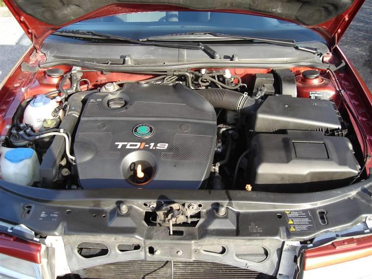 Skoda Octavia Elegance billede 4