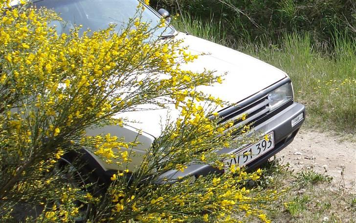 VW Golf II Manhattan Solgt billede 5