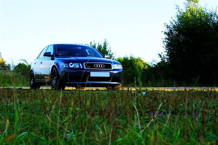 Audi A4 B6 Quattro billede 2