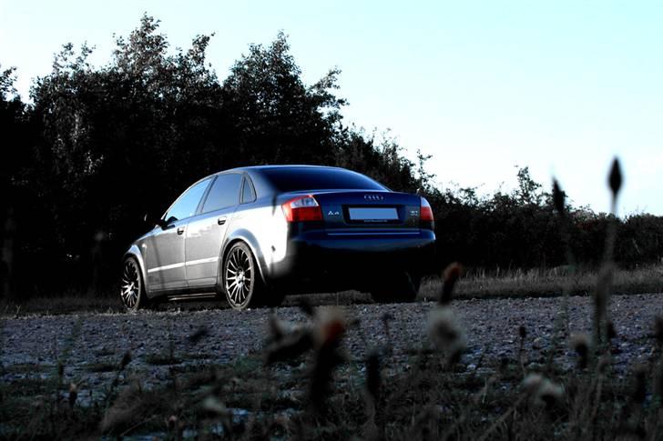 Audi A4 B6 Quattro billede 3