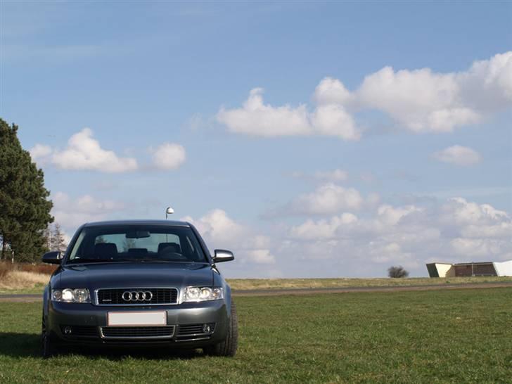 Audi A4 B6 Quattro billede 5