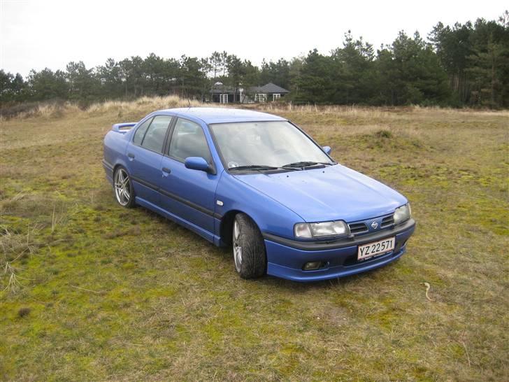 Nissan primera Donor bil. billede 10