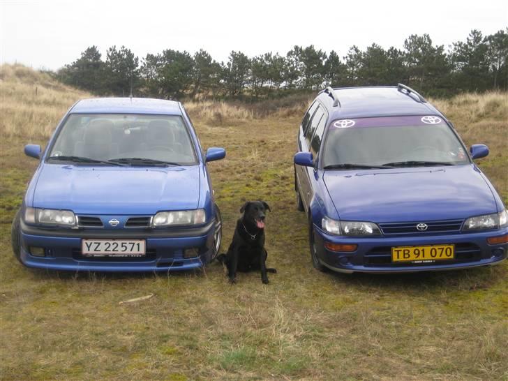 Nissan primera Donor bil. billede 13