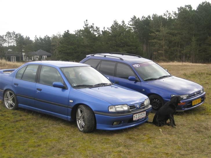 Nissan primera Donor bil. billede 14