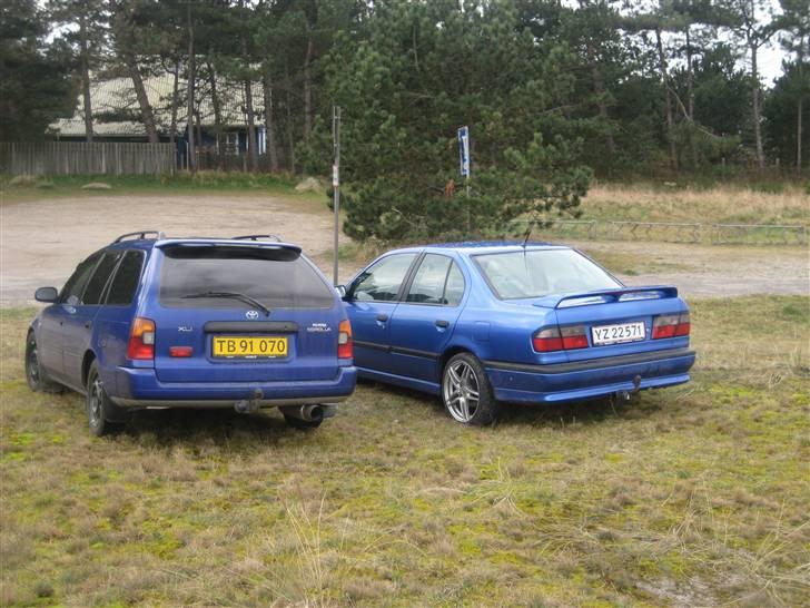 Nissan primera Donor bil. billede 16