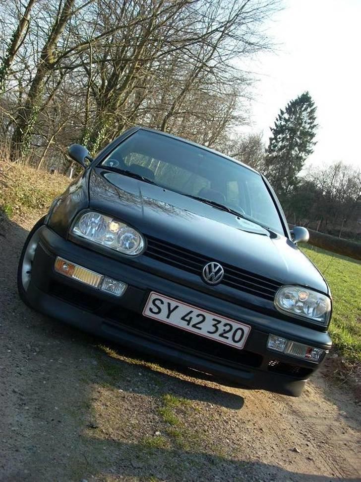 VW            Golf 3 [SOLGT] billede 16