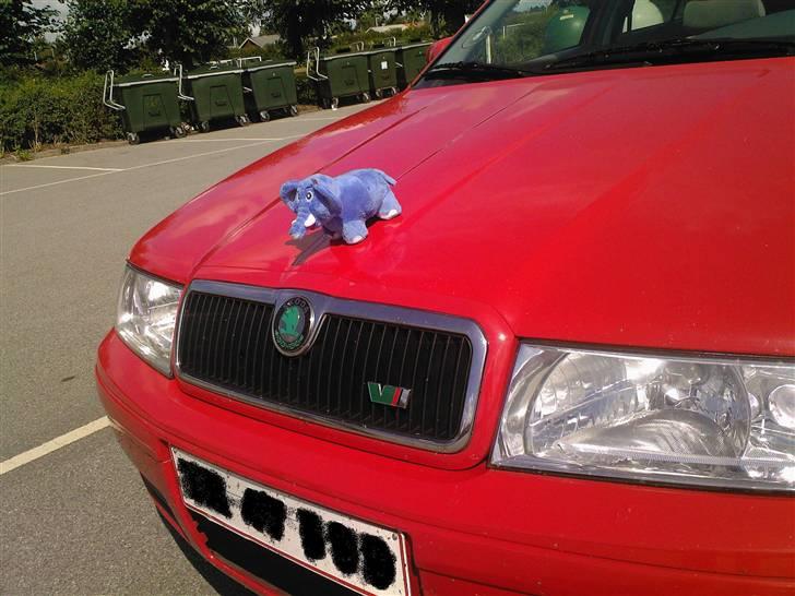 Skoda Octavia - front figur;) billede 13