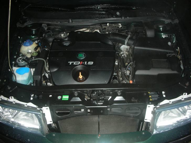 Skoda Octavia billede 5