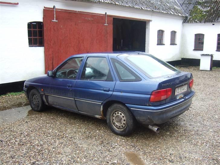 Ford Escort (skrottet) billede 2
