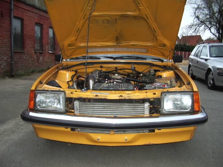 Opel Rekord E1 købt tilbage! - Intercooleren kan lige præcis være der.. billede 3