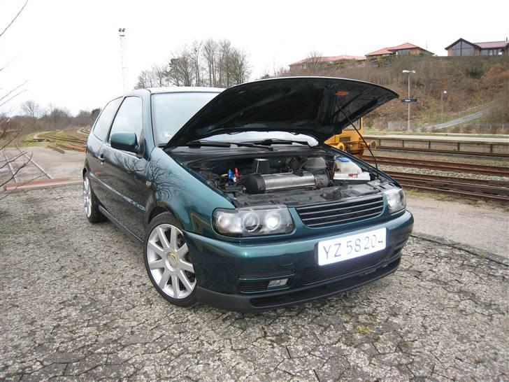 VW Polo 6N 1.6 Turbo byttet billede 17