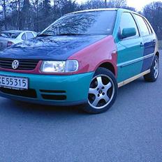 VW Polo Harlekin "SOLGT"