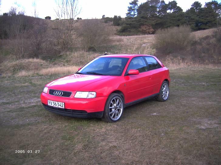 Audi A3 1.9 TDI billede 1