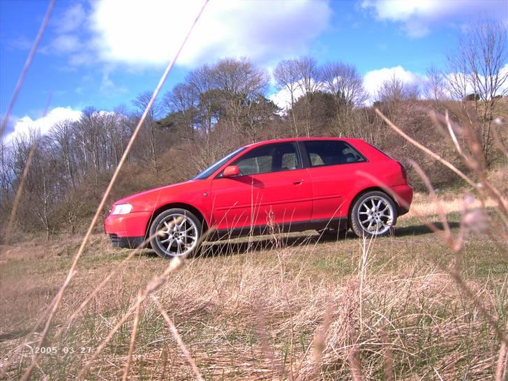 Audi A3 1.9 TDI billede 5